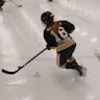 hockeytorri